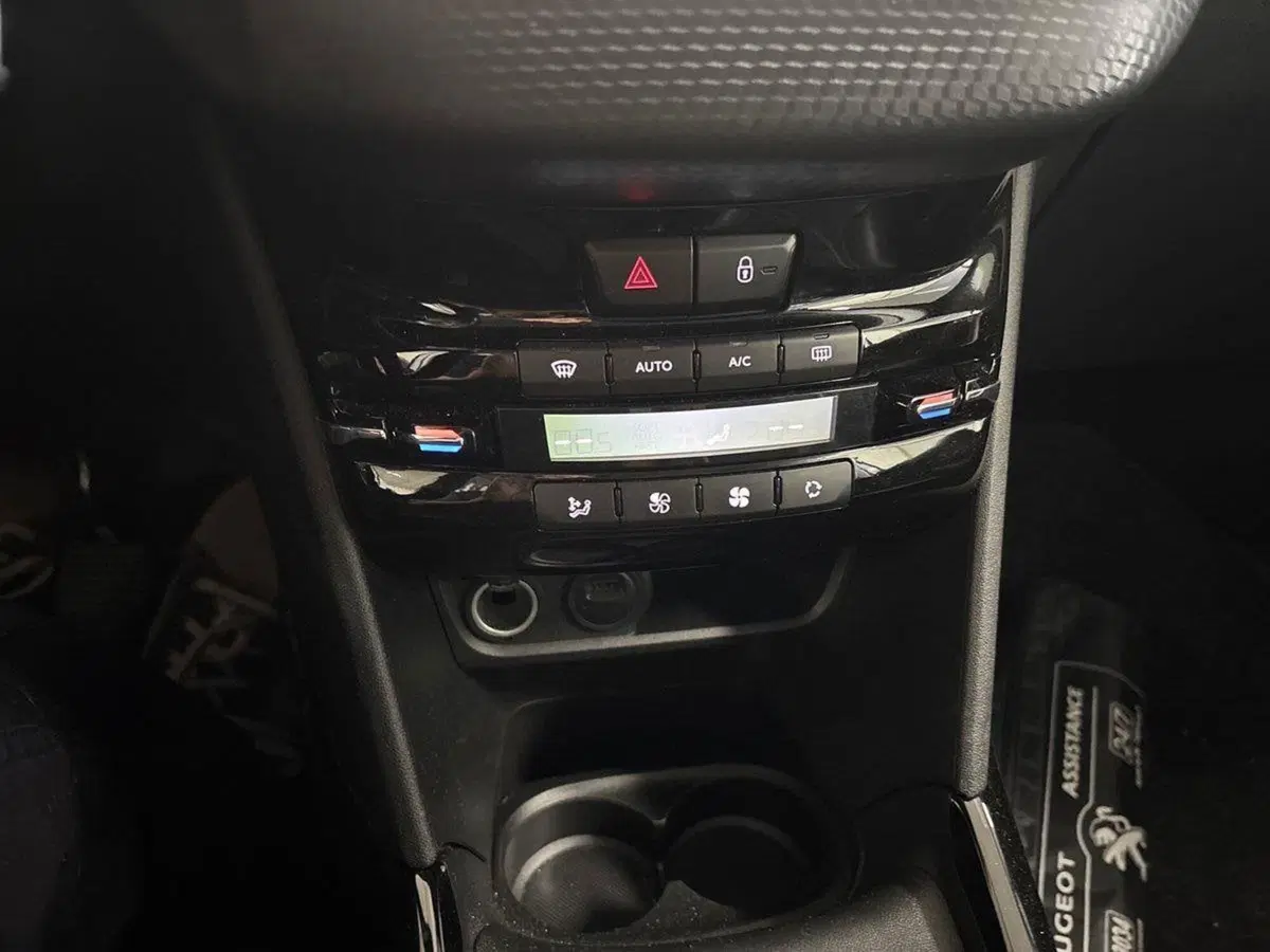 Peugeot 2008 usata a Torino (15)