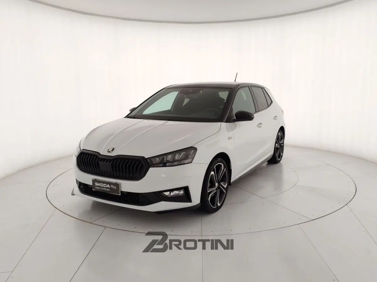 Skoda Fabia usata a Massa-Carrara