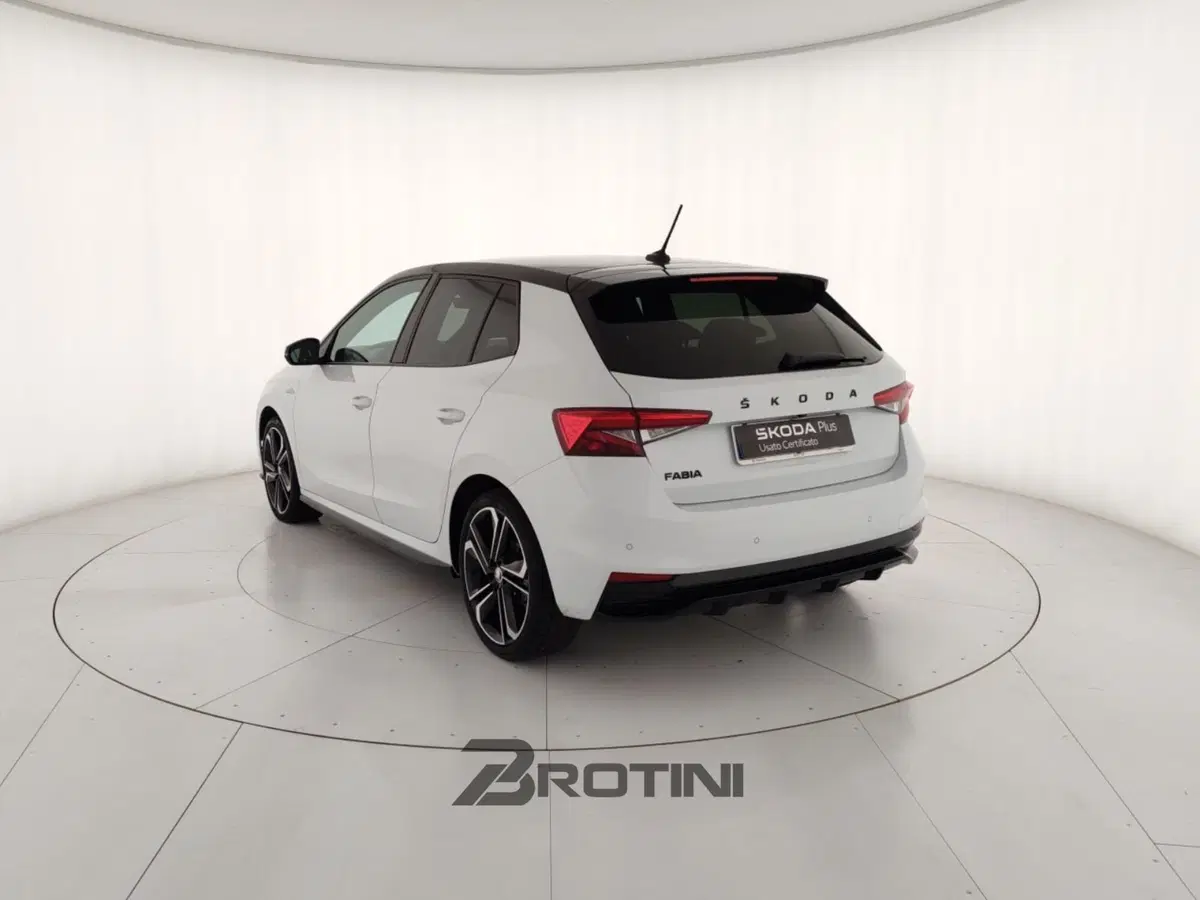 Skoda Fabia usata a Massa-Carrara (2)