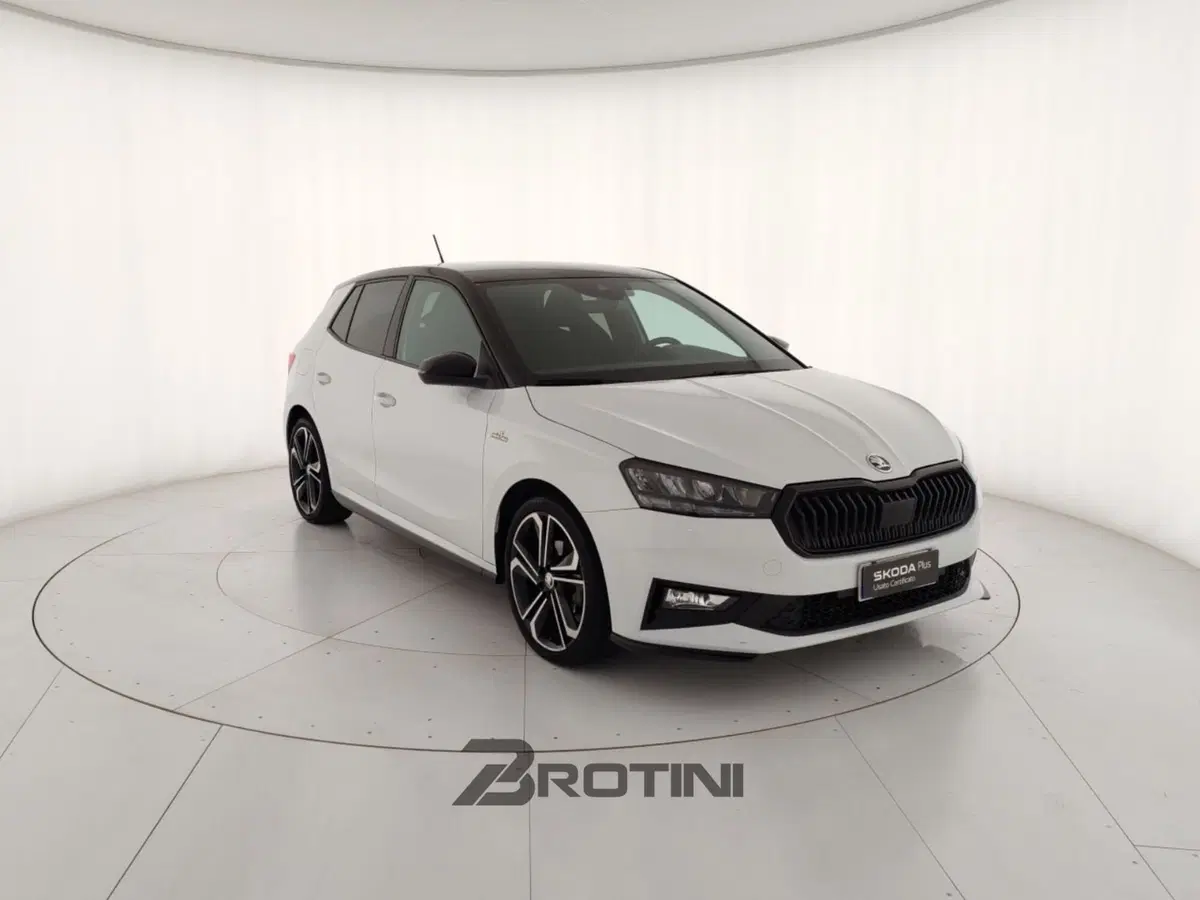 Skoda Fabia usata a Massa-Carrara (4)