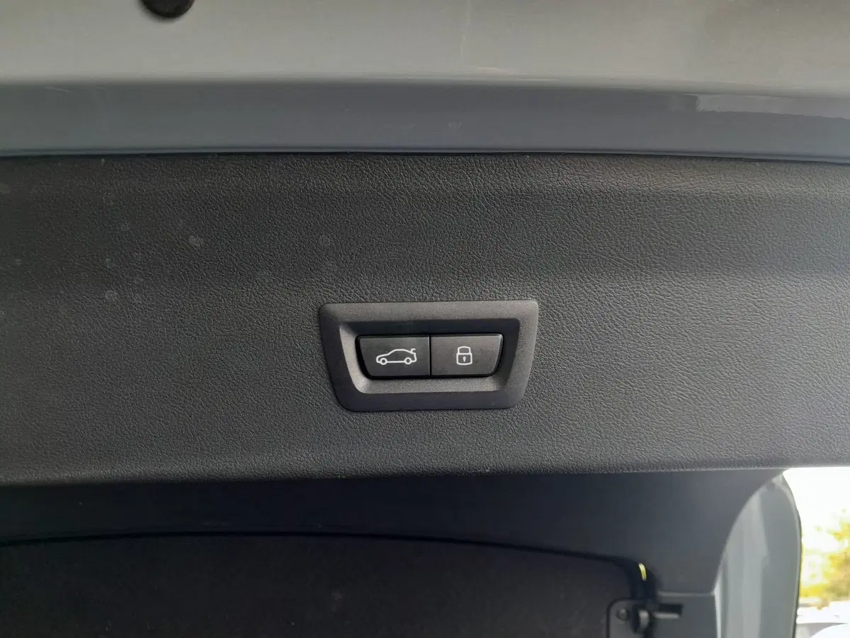 BMW X4 usata a Asti (11)