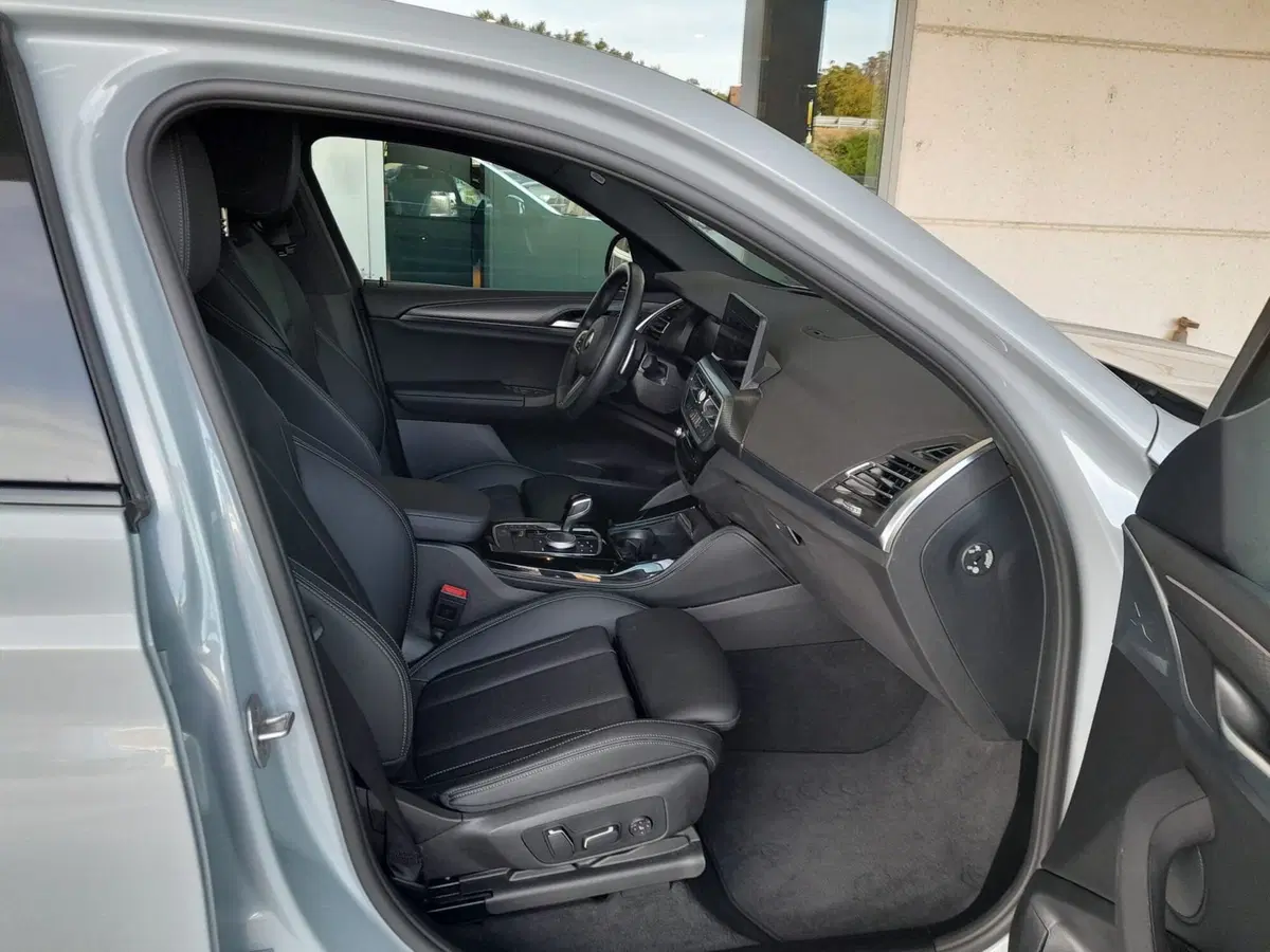 BMW X4 usata a Asti (13)