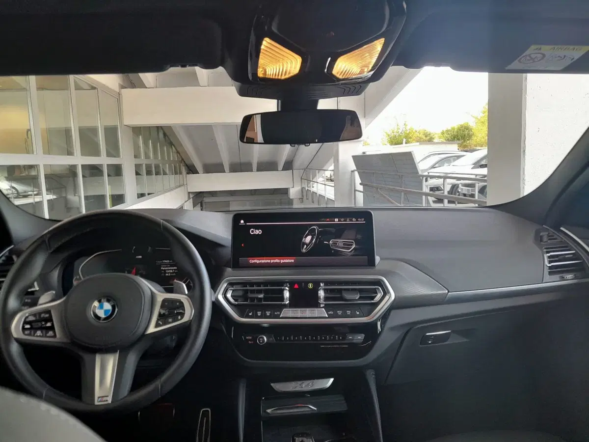 BMW X4 usata a Asti (14)