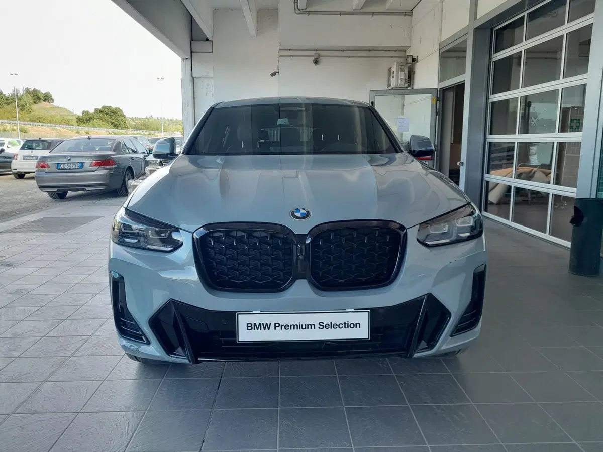 BMW X4 usata a Asti (3)
