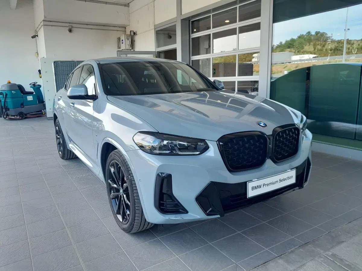 BMW X4 usata a Asti (4)