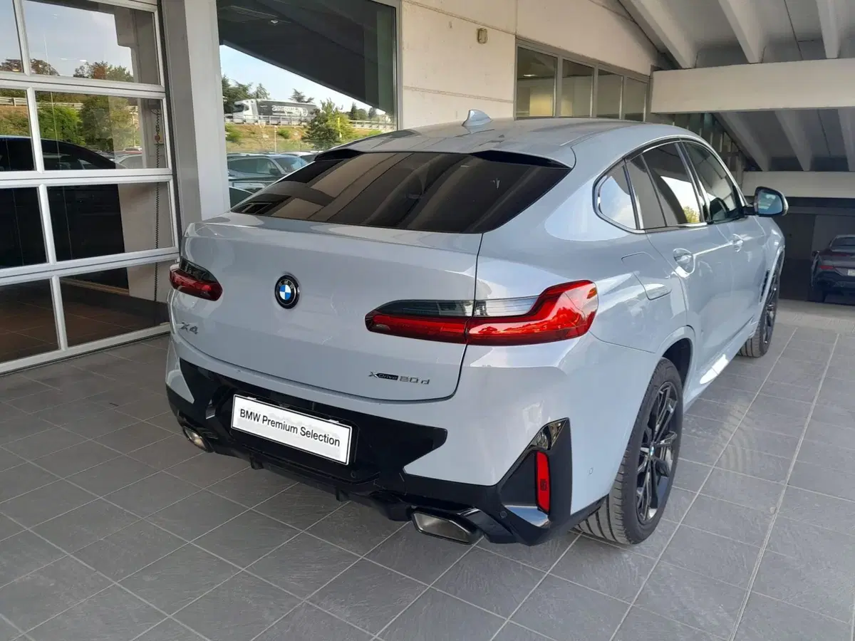 BMW X4 usata a Asti (5)
