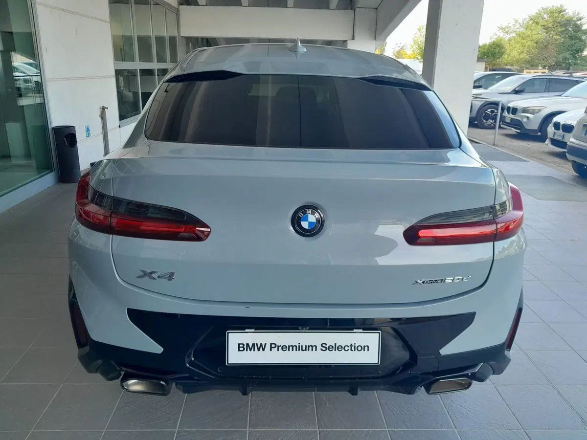 BMW X4 usata a Asti (6)