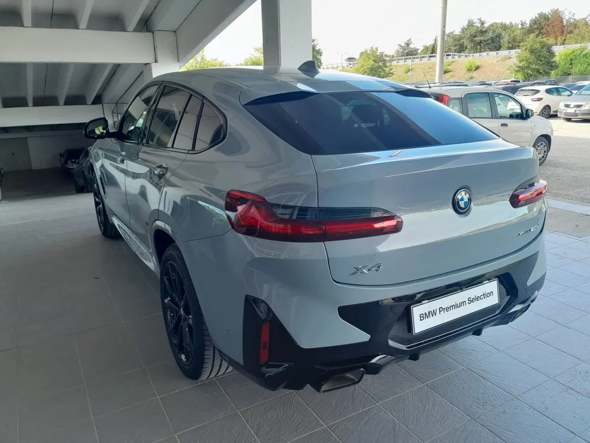 BMW X4 usata a Asti (7)