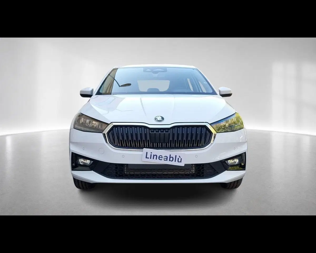 Skoda Fabia nuova a Forlì-Cesena (5)