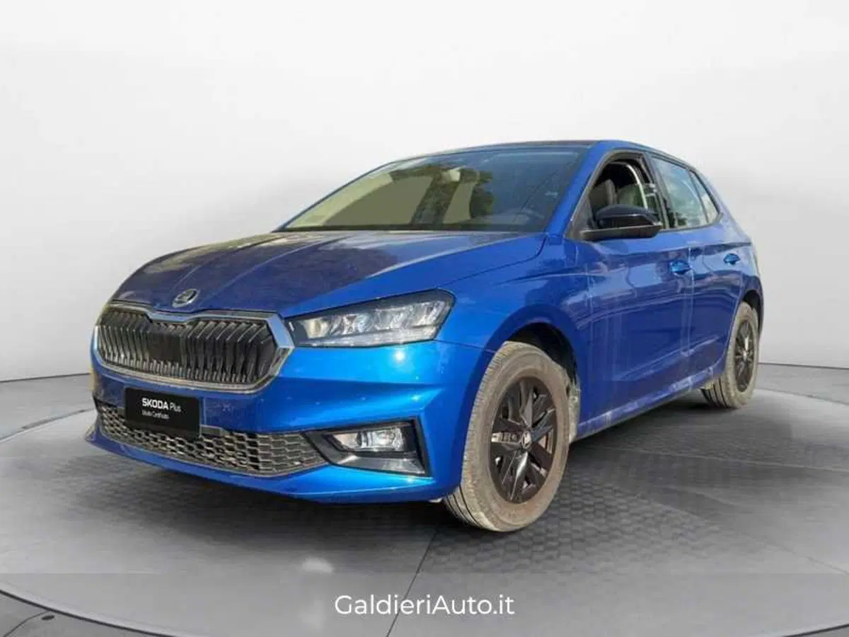 Skoda Fabia usata a Salerno
