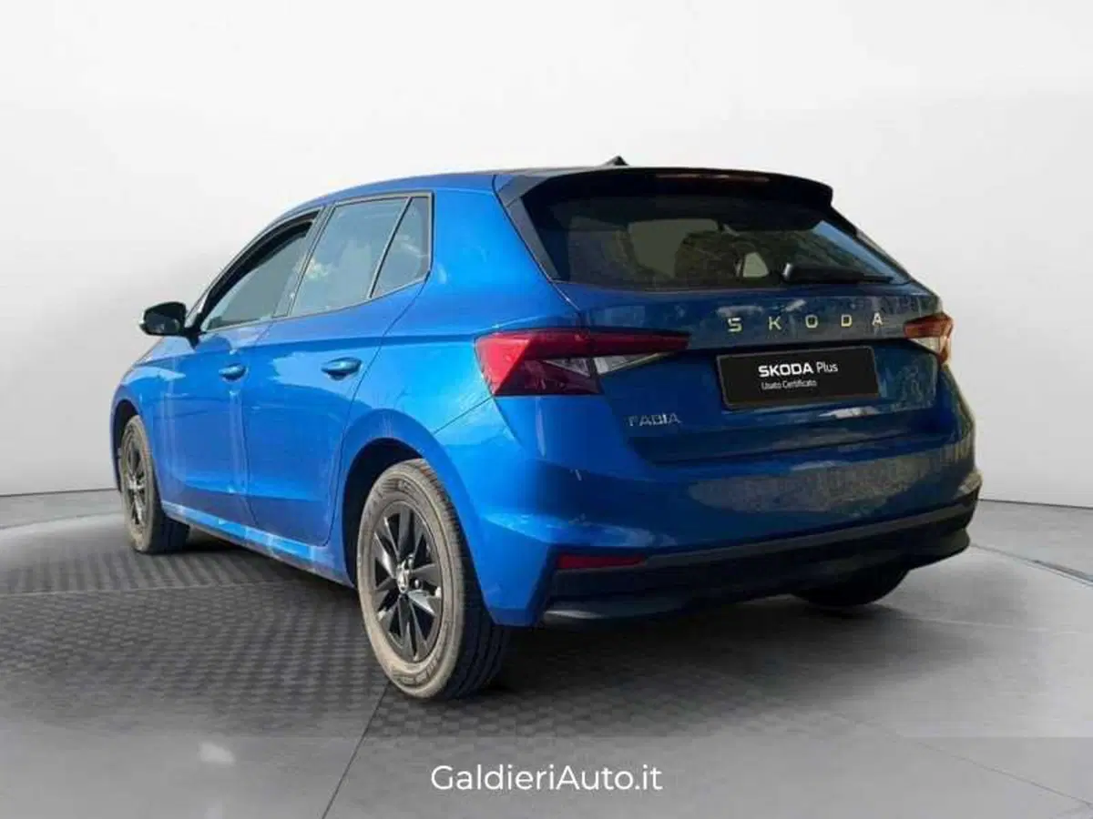Skoda Fabia usata a Salerno (3)