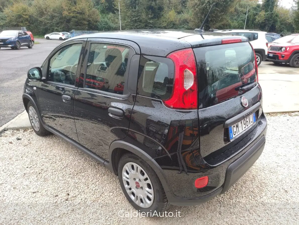 Fiat Panda Cross usata a Salerno (11)