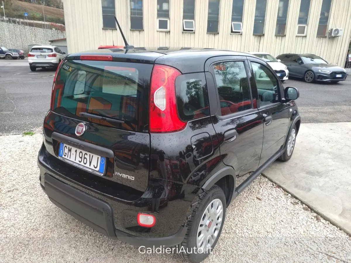 Fiat Panda Cross usata a Salerno (15)