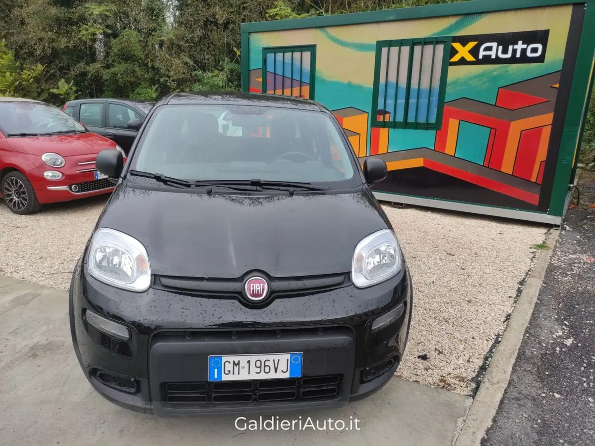 Fiat Panda Cross usata a Salerno (5)