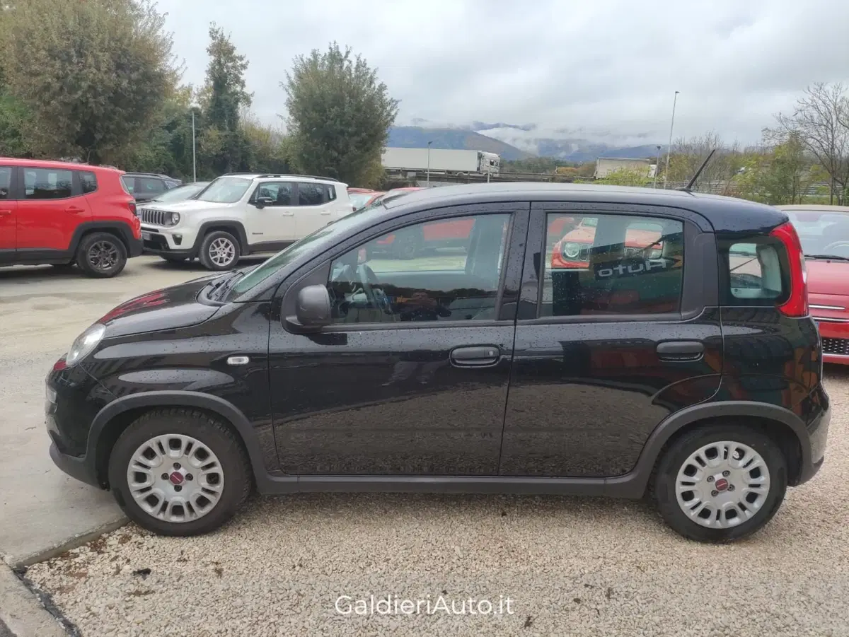 Fiat Panda Cross usata a Salerno (8)