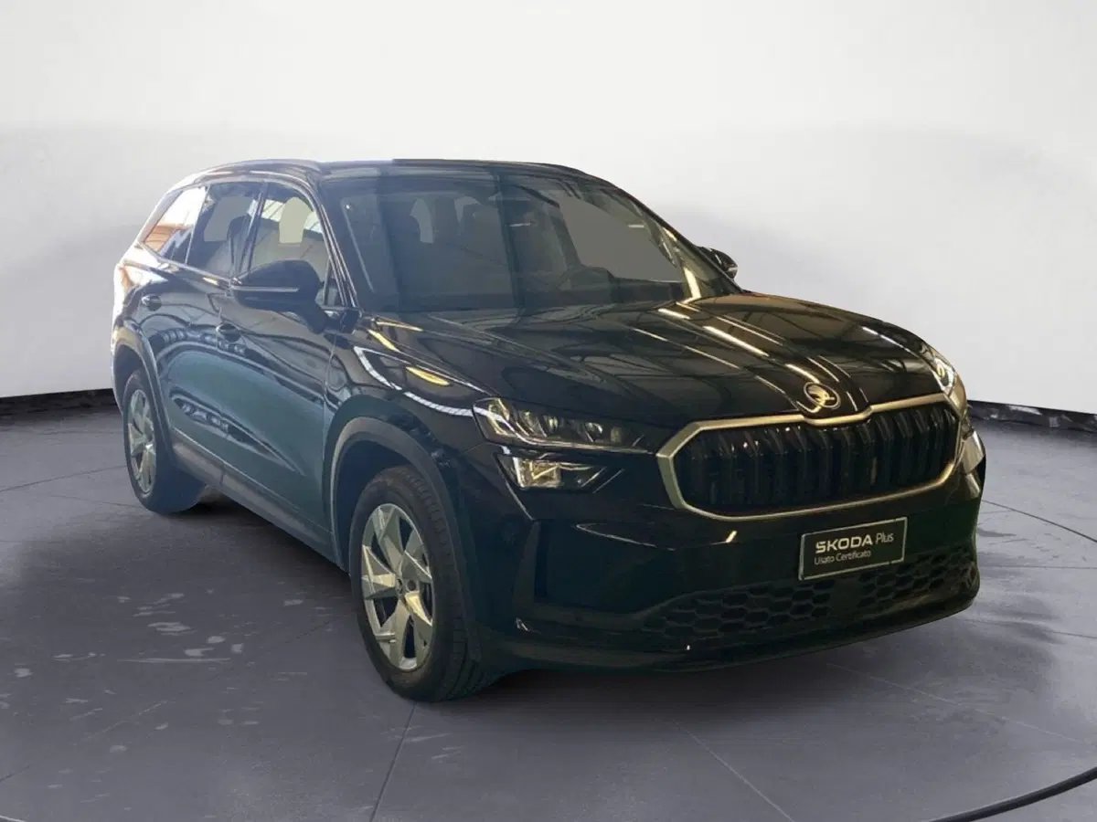 Skoda Kodiaq usata a Catanzaro (3)