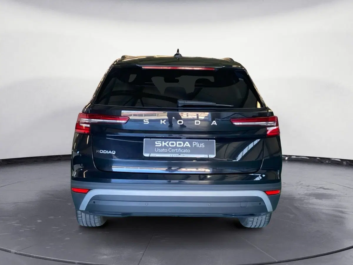 Skoda Kodiaq usata a Catanzaro (6)