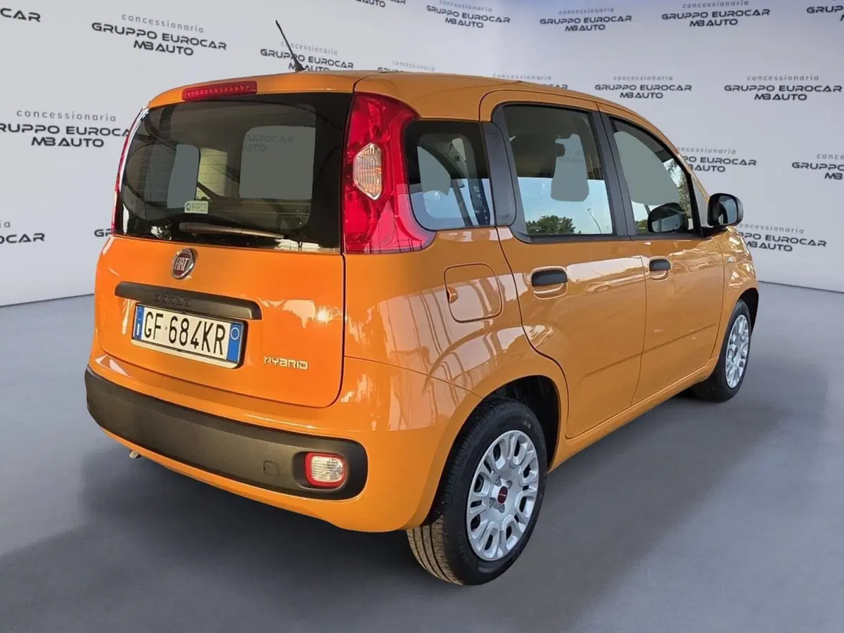 Fiat Panda Cross usata a Firenze (4)
