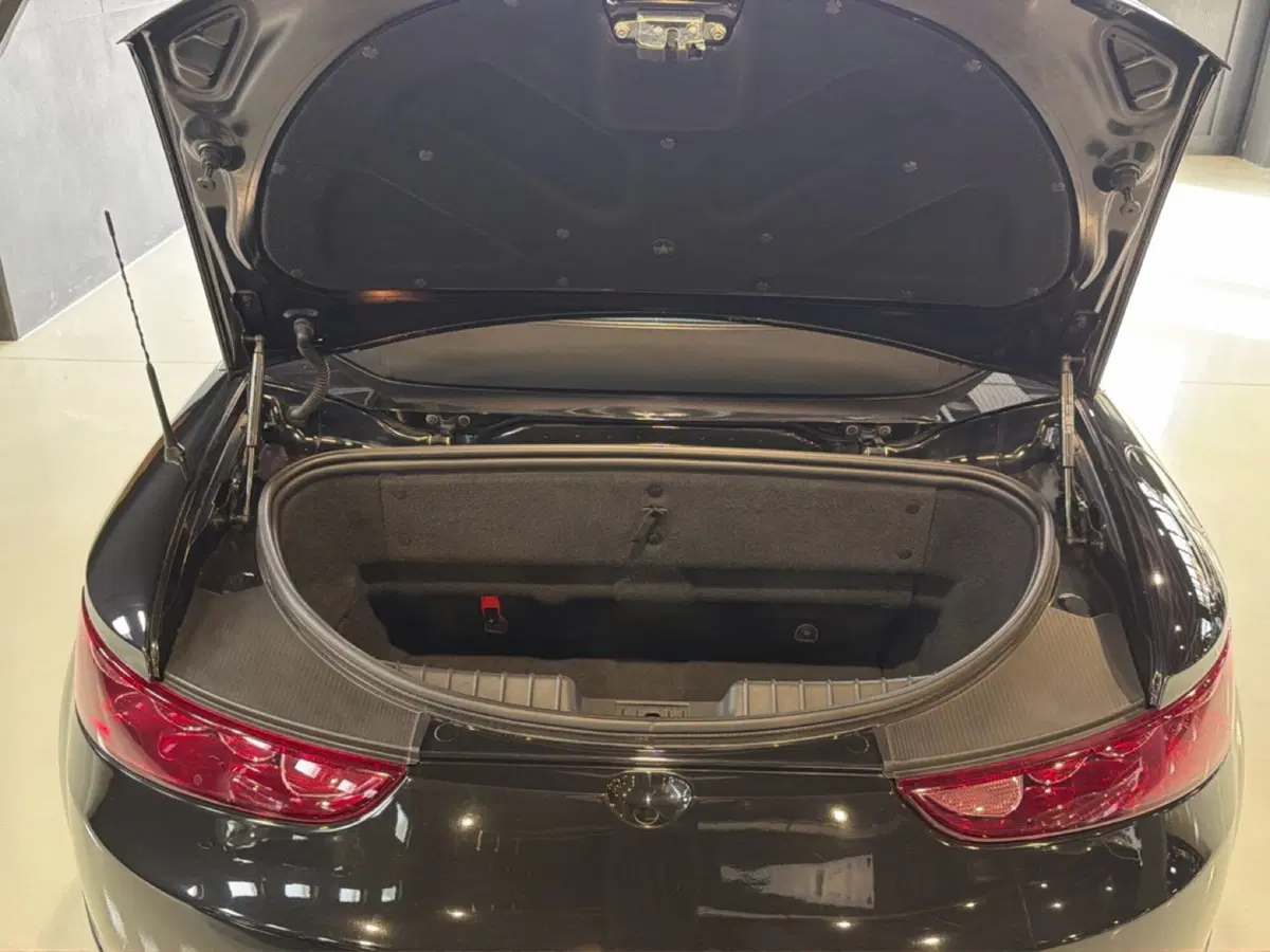 Alfa Romeo Spider usata a Vicenza (11)