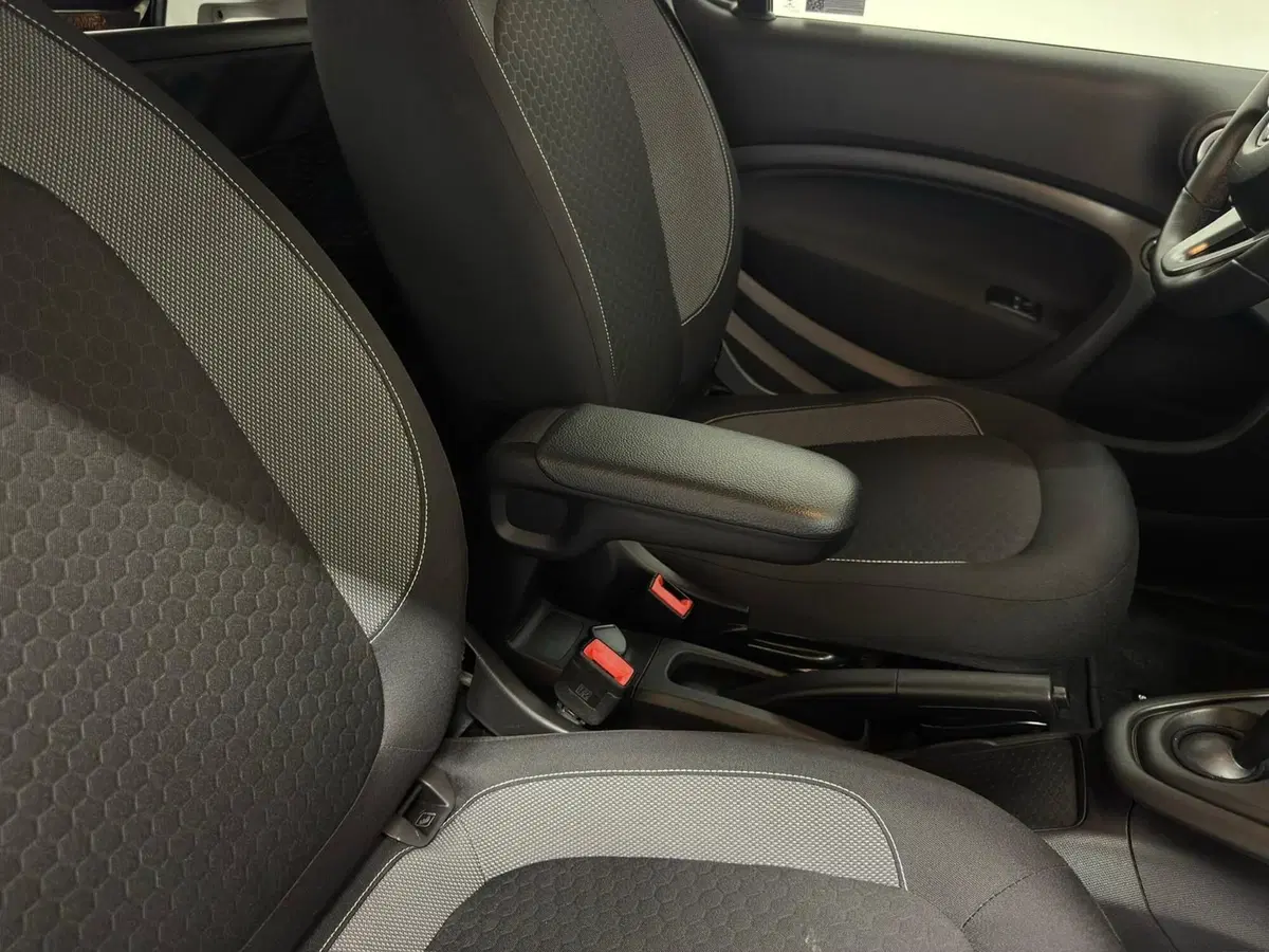 smart Fortwo usata a Verbano Cusio Ossola (11)