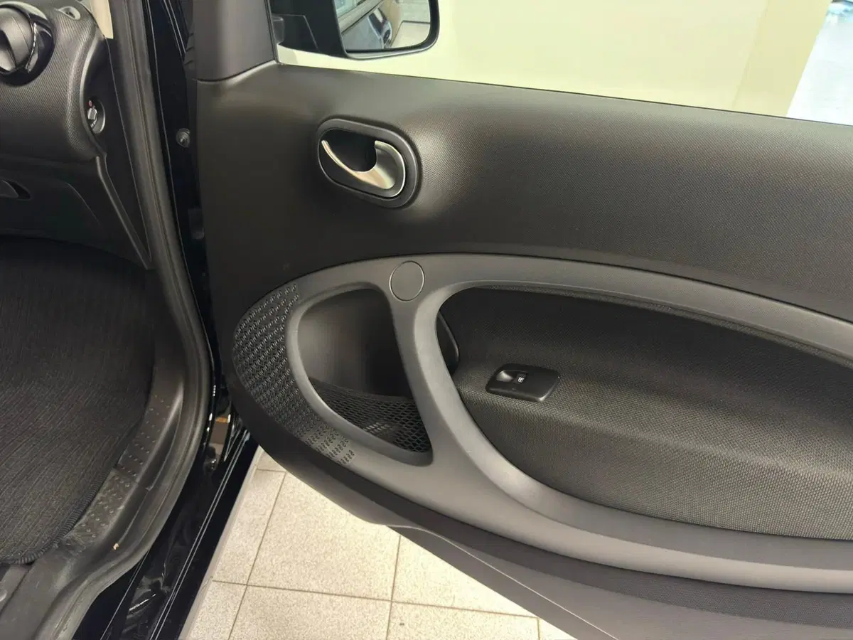 smart Fortwo usata a Verbano Cusio Ossola (13)
