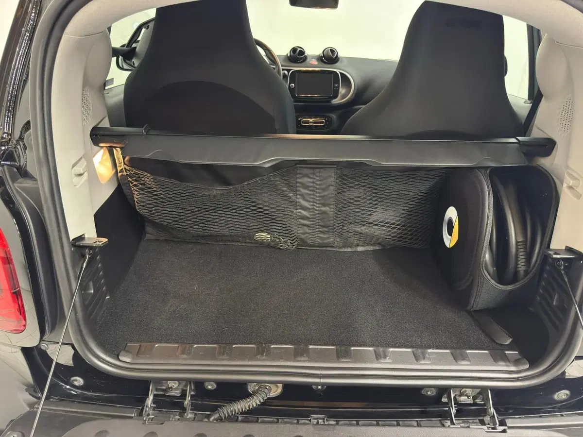smart Fortwo usata a Verbano Cusio Ossola (14)
