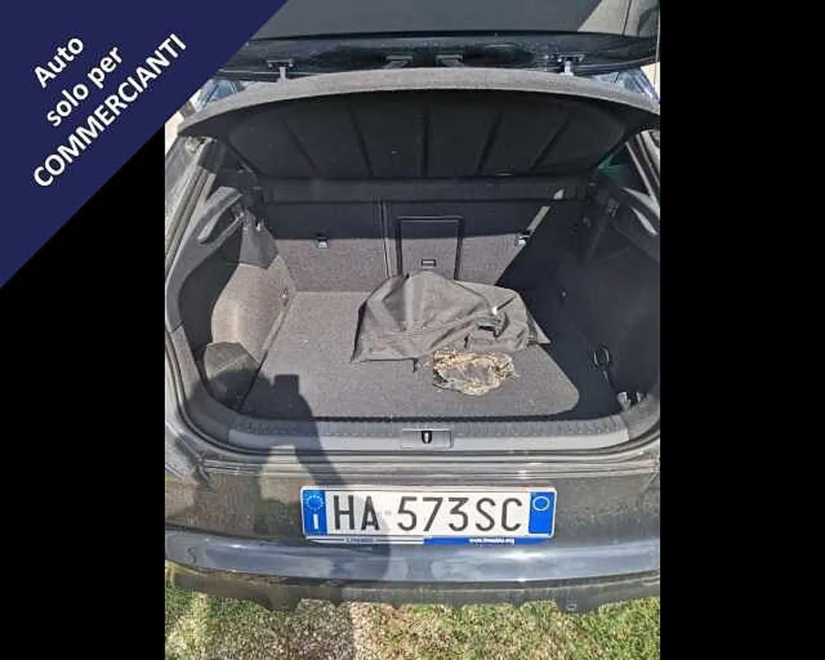 Cupra Formentor usata a Ravenna (11)