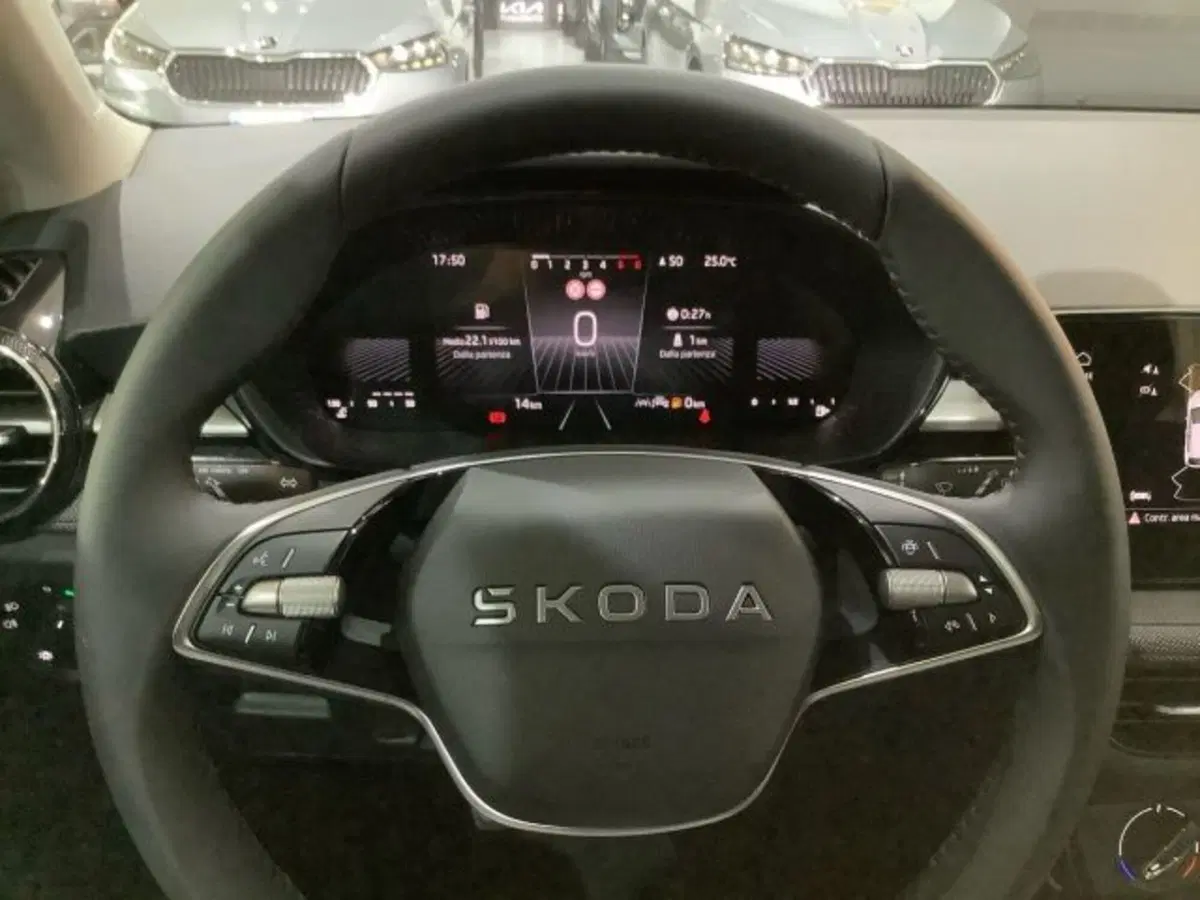 Skoda Fabia nuova a Catania (18)