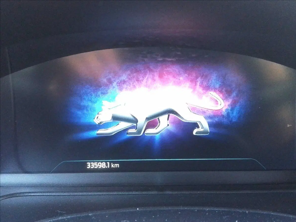 Ford Puma usata a Milano (10)