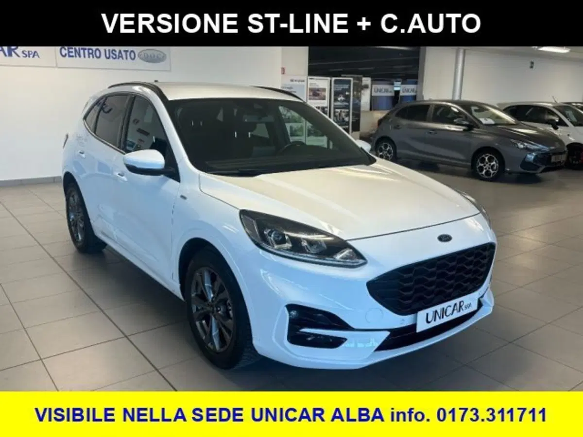 Ford Kuga usata a Cuneo (3)