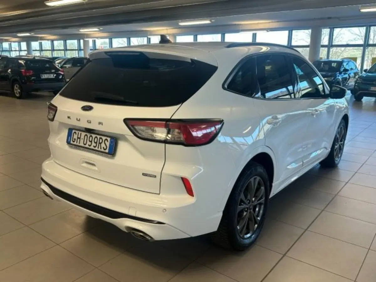 Ford Kuga usata a Cuneo (7)