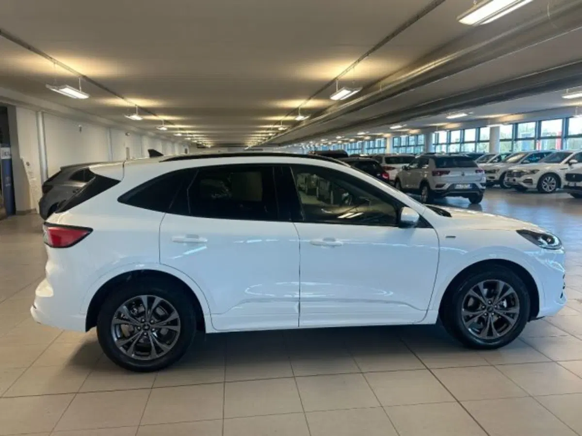 Ford Kuga usata a Cuneo (8)