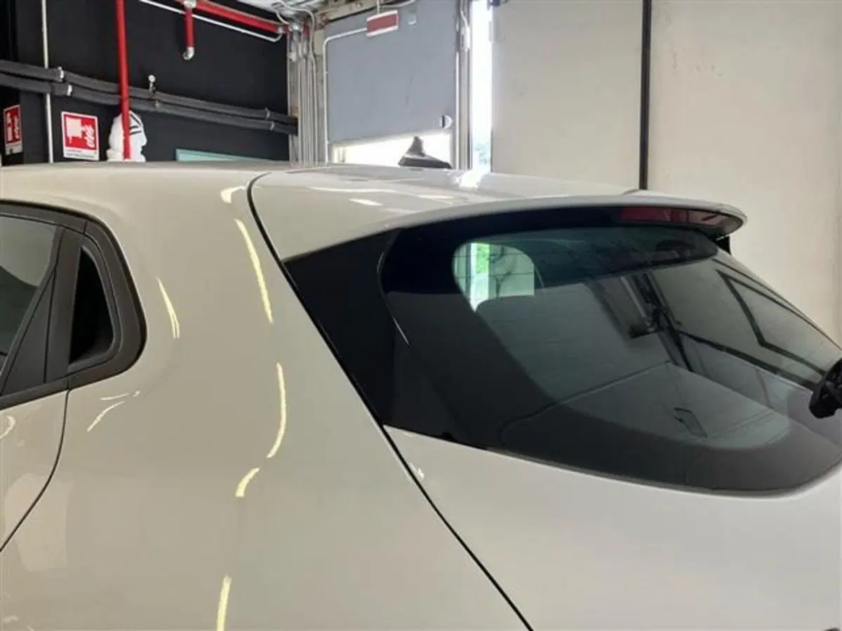 Renault Clio usata a Como (20)