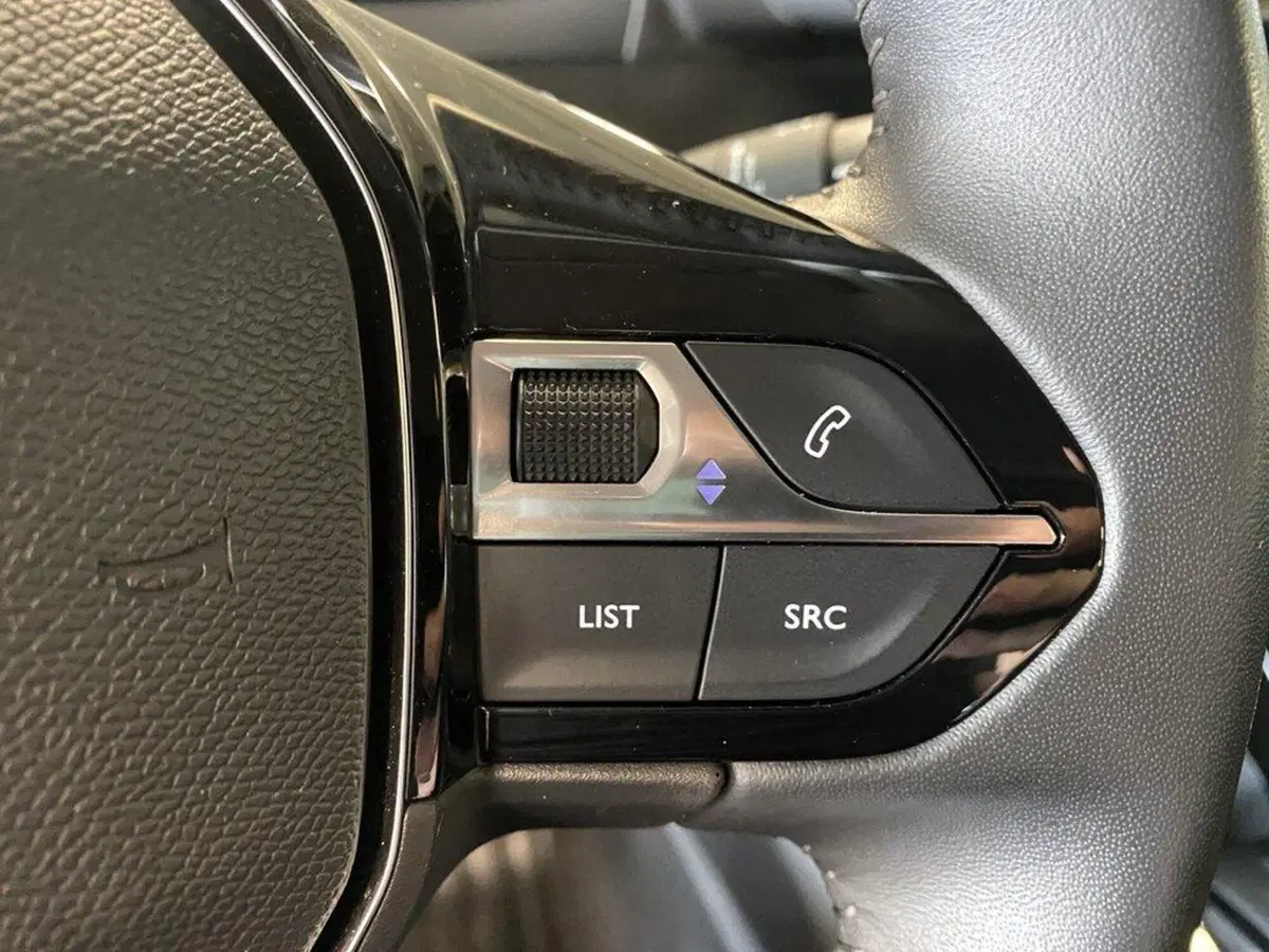 Peugeot 208 usata a Torino (14)