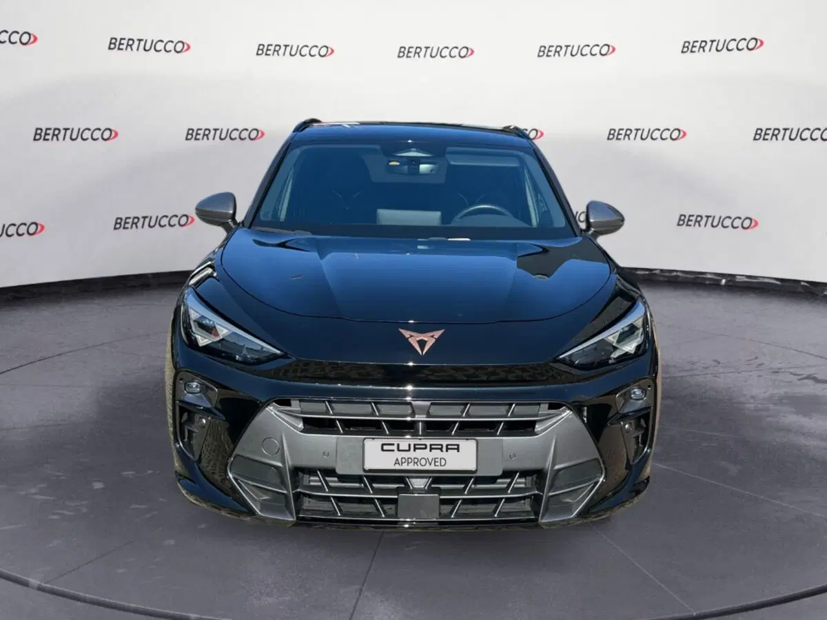 Cupra Terramar usata a Verona (2)