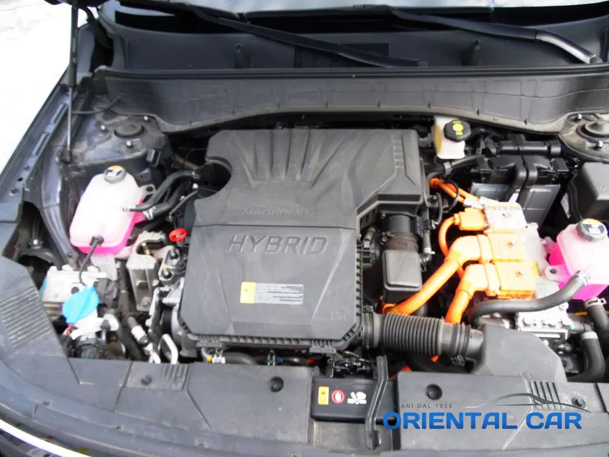 Hyundai Kona usata a La Spezia (15)