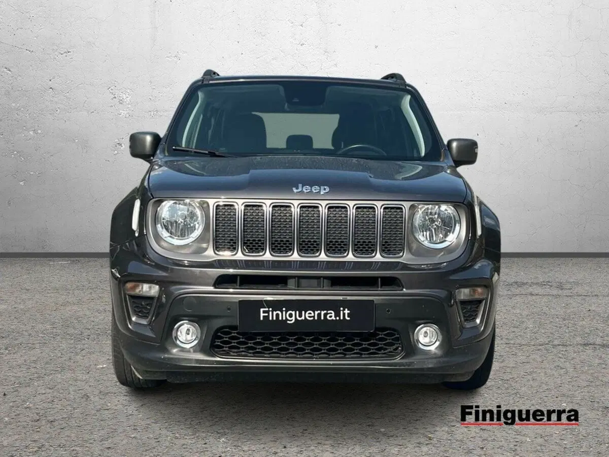 Jeep Renegade usata a Sondrio (2)
