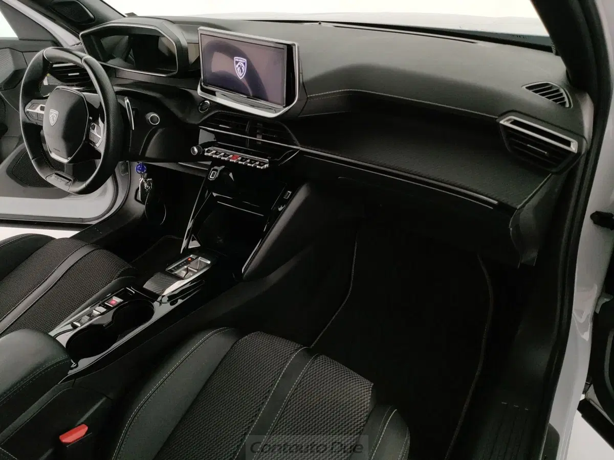 Peugeot 2008 usata a Caserta (16)
