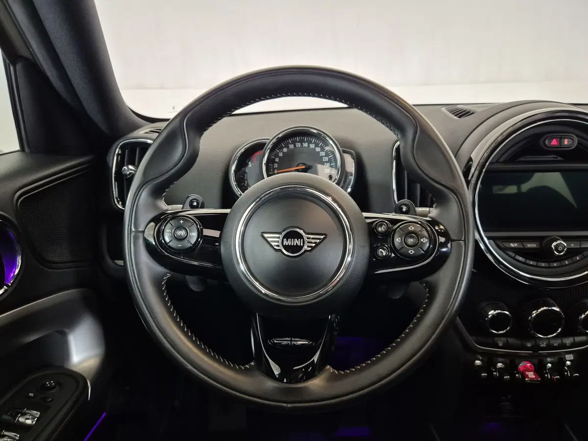 MINI Mini Countryman usata a Torino (10)