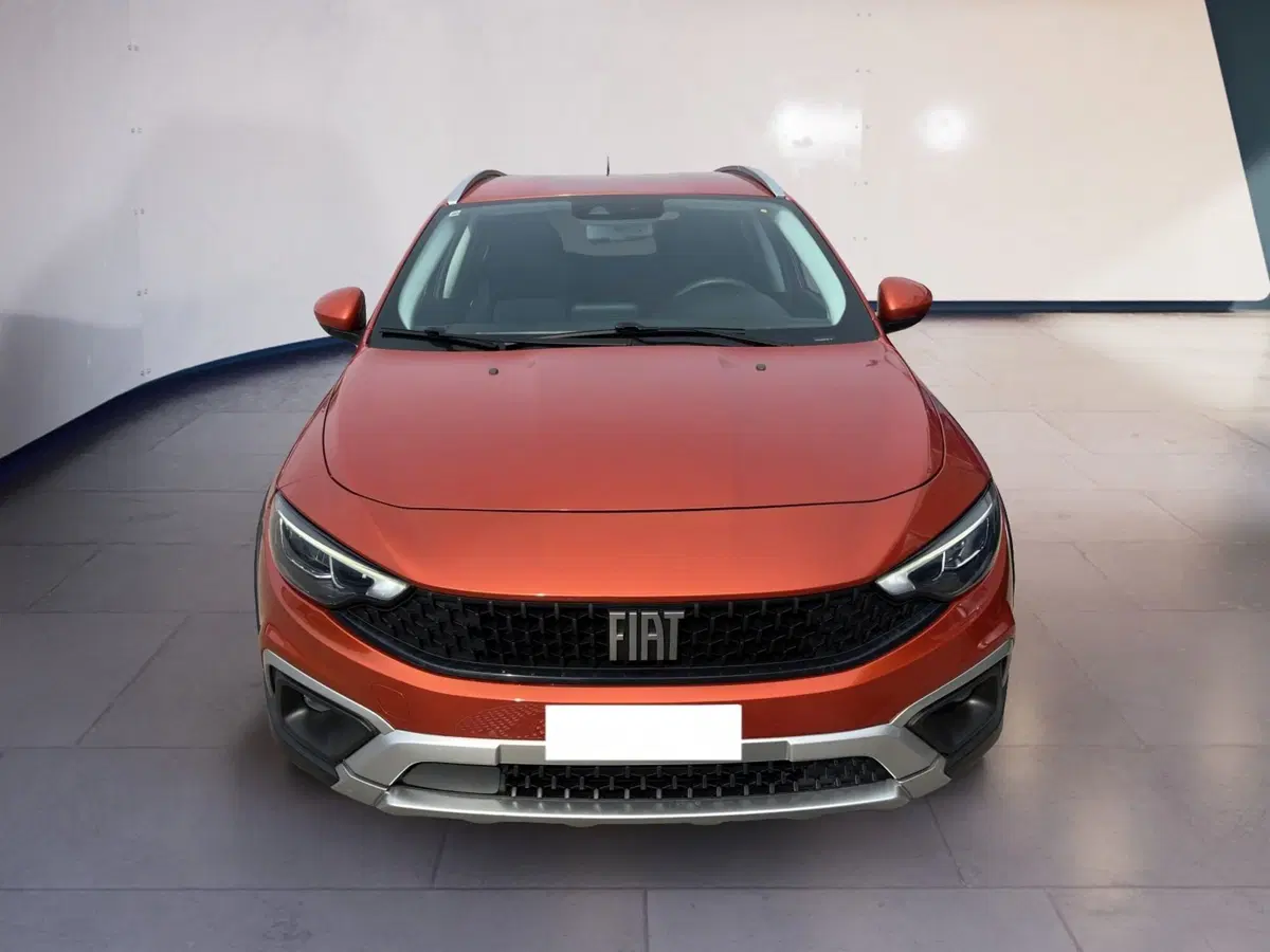 Fiat Tipo usata a Torino
