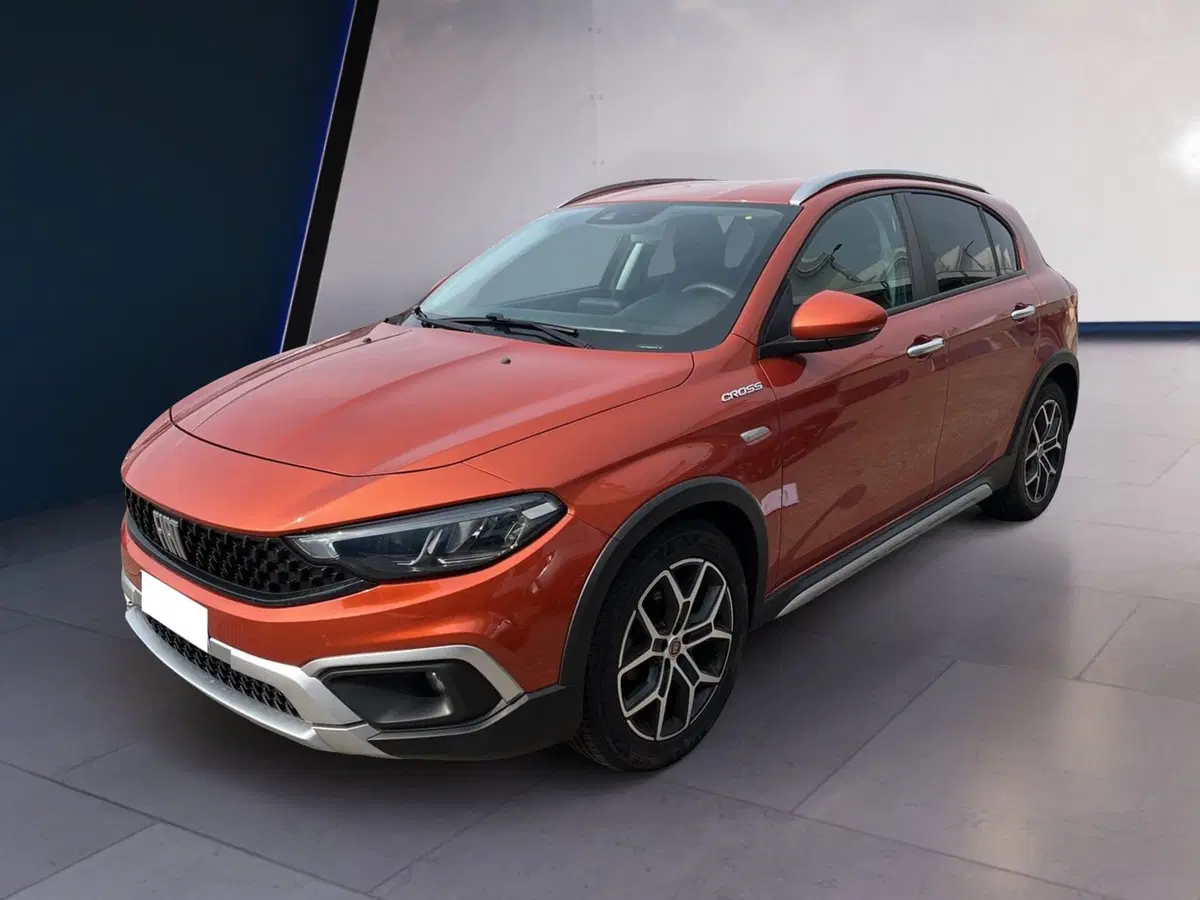 Fiat Tipo usata a Torino (2)