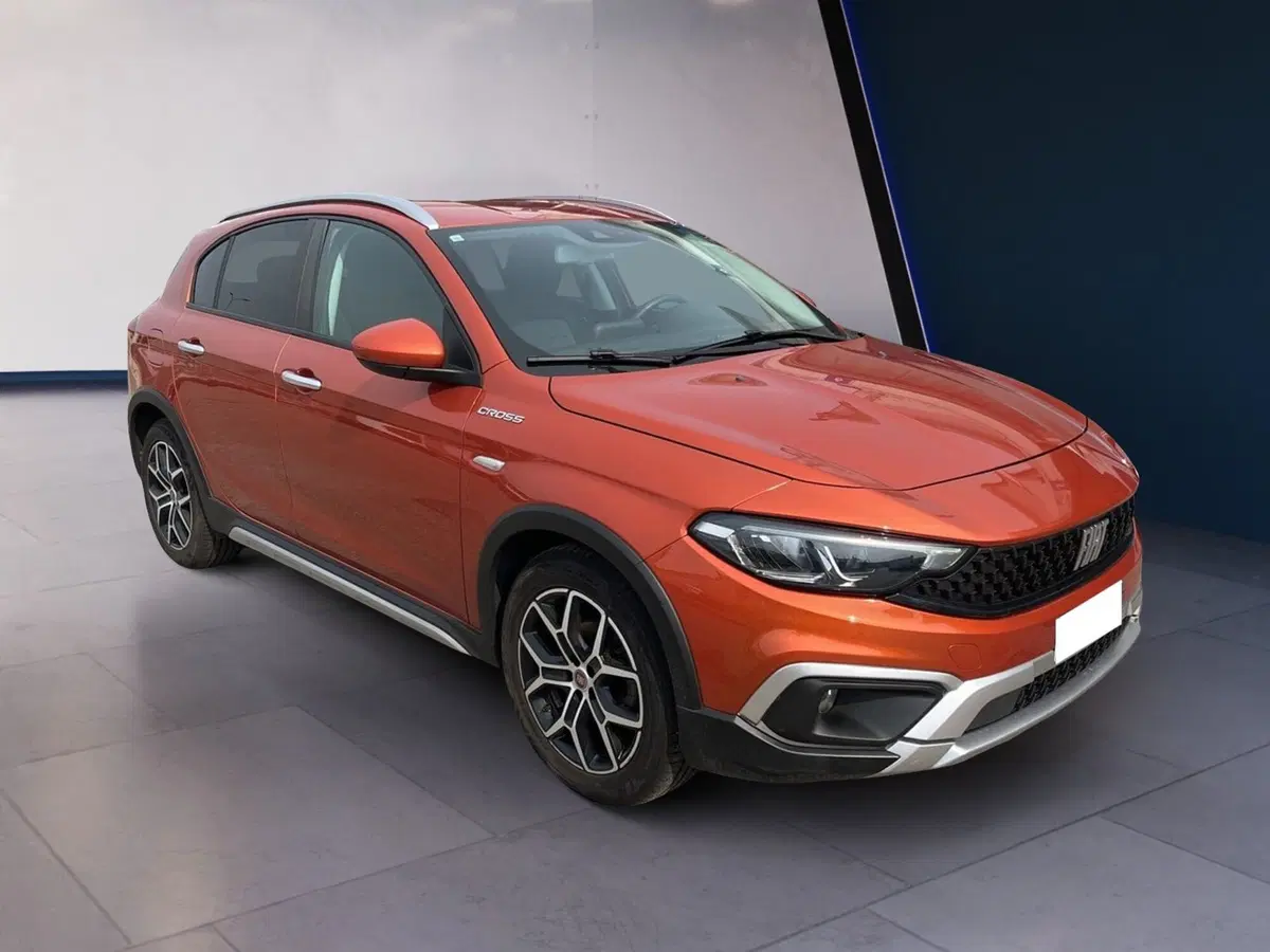 Fiat Tipo usata a Torino (3)