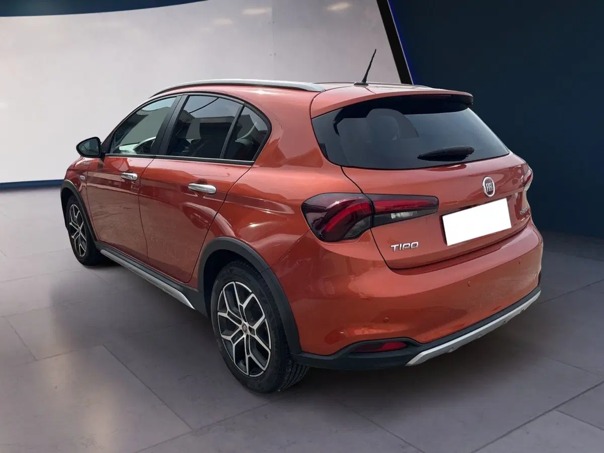 Fiat Tipo usata a Torino (6)
