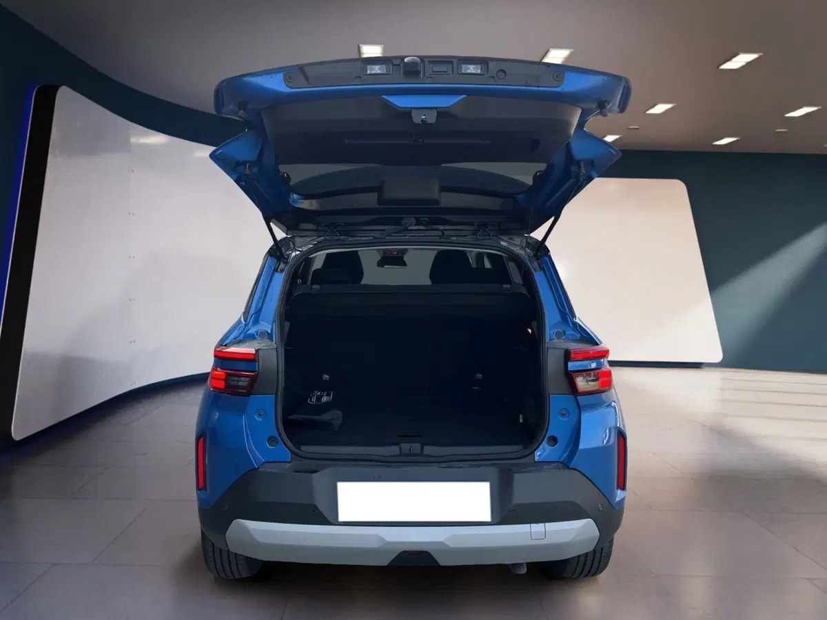 Opel Frontera nuova a Torino (7)