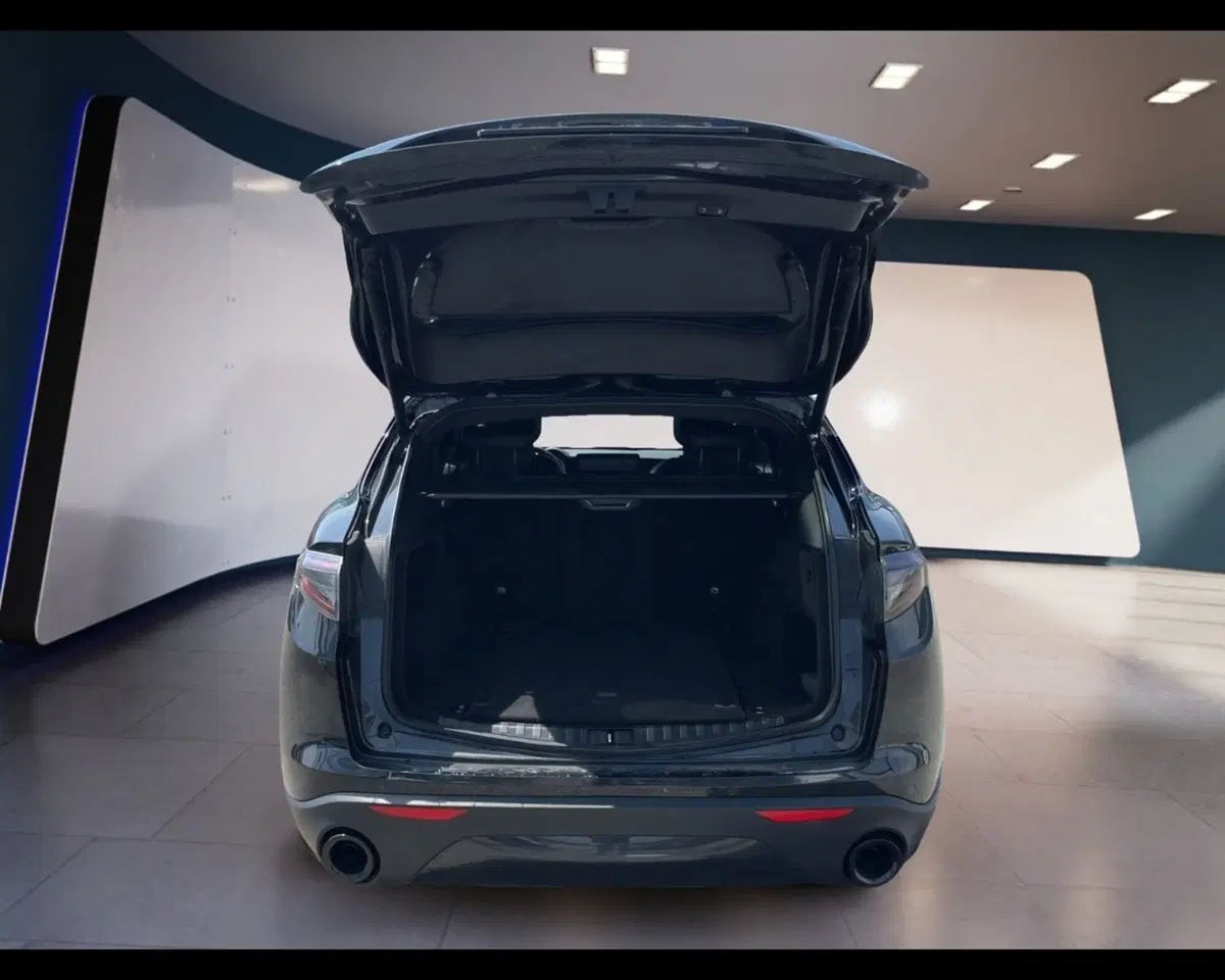 Alfa Romeo Stelvio usata a Torino (14)