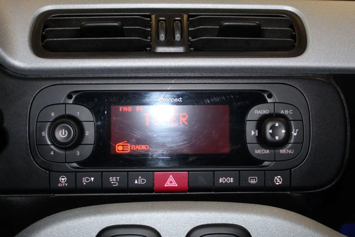 Fiat Panda usata a Cremona (12)