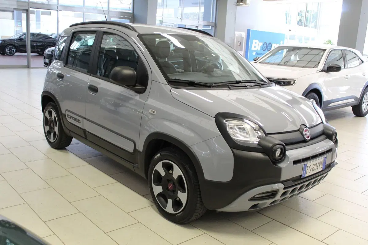 Fiat Panda usata a Cremona (2)