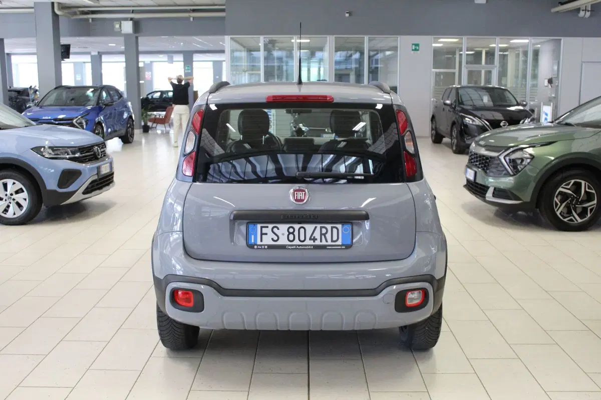 Fiat Panda usata a Cremona (3)