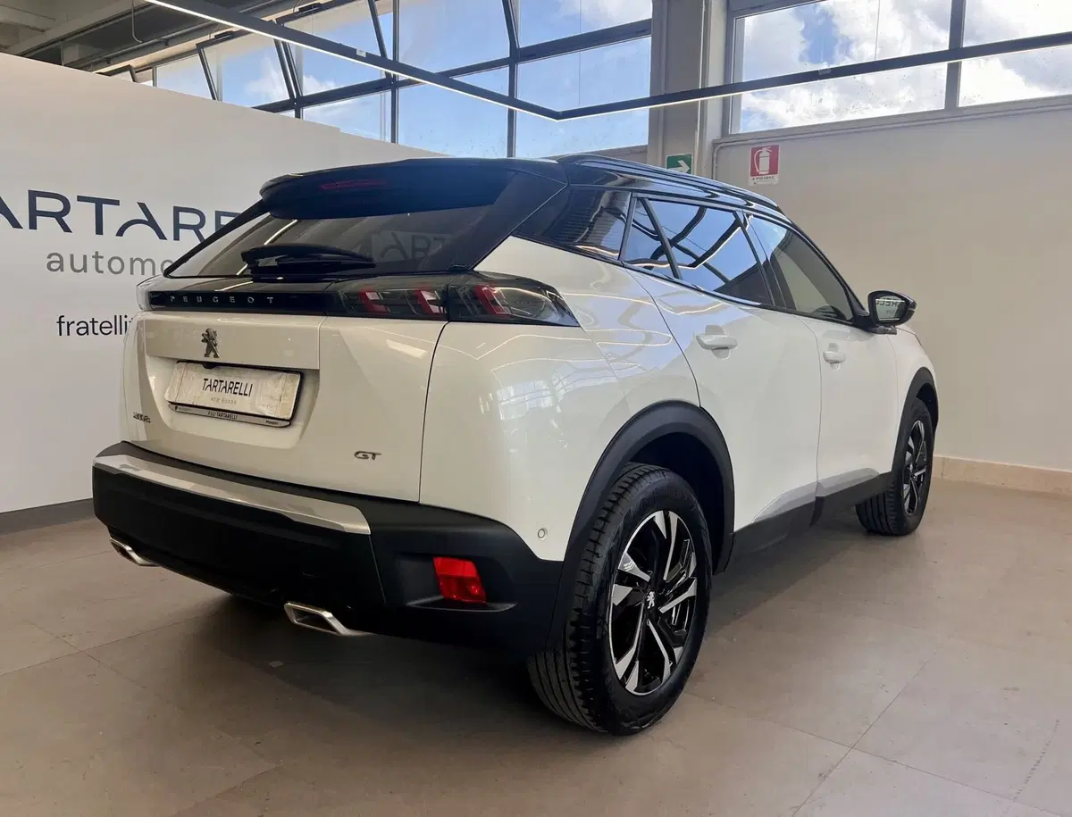 Peugeot 2008 usata a Bari (8)
