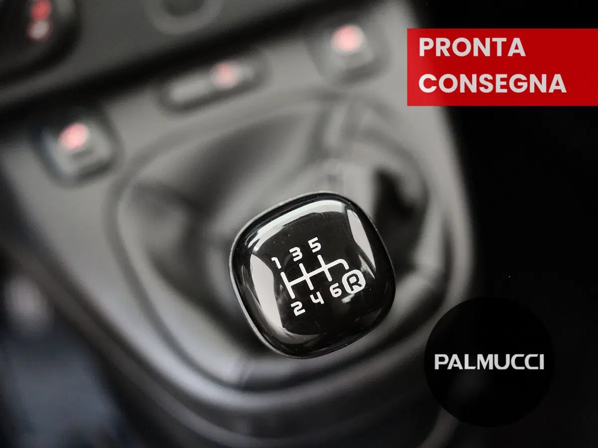 Fiat Panda Cross usata a Prato (10)